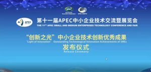 “舉升搶險主戰消防車(chē)”榮獲第(dì)十一屆APEC中小企業“創新之光”技術創新優(yōu)秀成果獎”